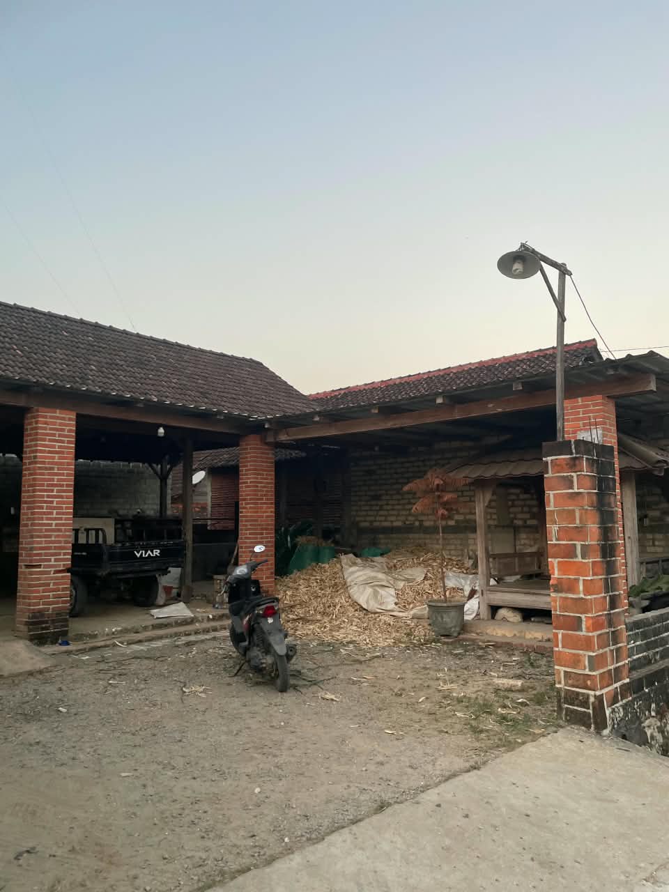 Foto Palongan sapi